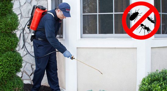Saruhanlı Akrep İlaçlama böcek ilaçlama ve haşere kontrolü — ilaclama-tr.com